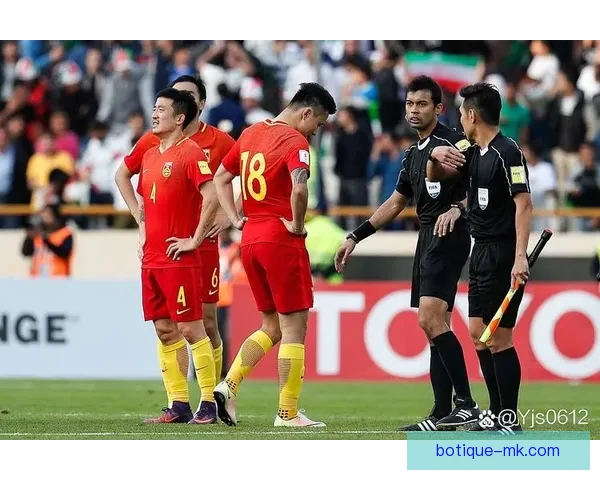 塞鸟正式加盟国足出战世预赛引发球迷热议与期待