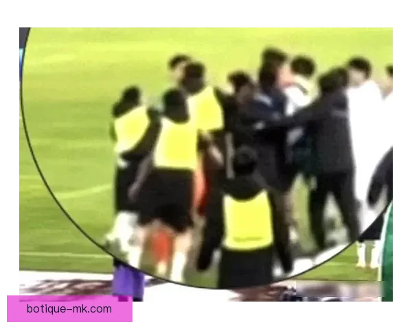 特拉布宗球迷冲场暴力袭击球员 引发足球赛场安全严峻警示 特拉布宗球迷冲场暴力袭击球员 引发足球赛场安全严峻警示
